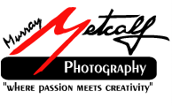 CLICK ... for homepage ... Murray Metcalf Photography Thunder Bay